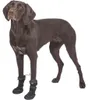 TRIXIE Pfotenschutz Walker Active Long - ø 7,5–8 cm Produktbild-Vorschau 3