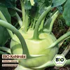 Samenliebe  Kohlrabi Samen | Weißer Wiener - frühe Sorte - Produktbild-Vorschau 4