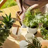 Hahn und Huhn Blumentopf mit Eiern Produktbild-Vorschau 4