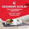 paw & pillow Coperta per cani in microfibra, cucce per Anteprima dell’immagine prodotto 2