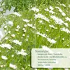 Eisenfenster für die Gartenmauer, Stallfenster wie antik, Produktbild-Vorschau 5