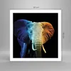 Poster - Poster ohne Rahmen - Bunt Elefant Fotografie - Produktbild-Vorschau 4