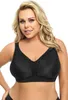 Gorsenia K422 Anya black 95F Měkká podprsenka Náhled obrázku produktu 5