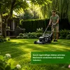 RSM-Rasensamen 2.3 mit Poa Supina 1kg für 40m², Produktbild-Vorschau 4
