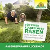 Neudorff Rasenreparatur LückenLos 2,5kg Nachsaat - Produktbild-Vorschau 7