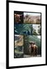 MuchoWow® MuchoWow® Gerahmtes Poster Schottische Produktbild-Vorschau 1