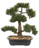 BELIANI Umělá rostlina v květináči bonsai zelená a černá Náhled obrázku produktu 1