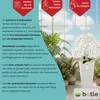 Umělá orchidej Kaskádová kytice bílá v květináči Bílá H 115 Náhled obrázku produktu 4