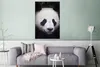 MuchoWow® Poster Panda - Porträt - Schwarz - Weiß 80x120 cm Produktbild-Vorschau 5