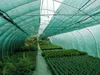 BRADAS Stínící zahradní tkanina na pletivo 90 %, 135 g/m², Náhled obrázku produktu 5