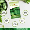 Mexikanische Minigurke  Samen - Melothria scabra - Produktbild-Vorschau 4