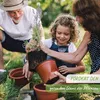 Neemöl Niemöl mit Emulgator 5L Konzentrat - ergibt 500L Produktbild-Vorschau 5