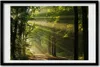 Bild 60x40 MDF-Rahmen, Wandkunst Wald in der Sonne Produktbild-Vorschau 1