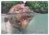 Lagotto Romagnolo, Sonderausgabe (Wandkalender 2027, DIN Produktbild-Vorschau 9