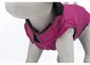 TRIXIE Arlay, pelo di cane, XXS 21cm, mirtillo Anteprima dell’immagine prodotto 4