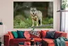MuchoWow® Poster Wolf - Tiere - Wald 180x120 cm - Produktbild-Vorschau 2