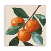 DEQORI Hybrid Leinwand Bild 30x30 cm 'Orangenfrische' Produktbild-Vorschau 2