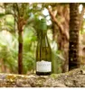 Cloudy Bay Sauvignon Blanc Marlborough trocken Neuseeland | Produktbild-Vorschau 12