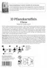 Kiepenkerl Pflanzkartoffel Cilena Solanum tuberosum 10 Produktbild-Vorschau 2