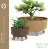 Two planters with plants, one large bonsai and one smaller succulent, are displayed against a white background. The left side of the image features a brown vertical strip with text. Náhľad obrázku produktu