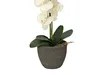 EUROPALMS Orchidee, Kunstpflanze, cremefarben, 80cm Produktbild-Vorschau 4