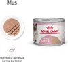 Royal Canin BABYCAT INSTINCTIVE - Nassfutter für Katzen - Produktbild-Vorschau 7