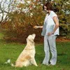 Karlie Doppel Clicker - Hundetraining - Kunststoff - Orange Produktbild-Vorschau 5