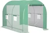 A green tunnel greenhouse with a double door and windows.