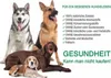 DOGBOSS 100% Natur Kauriegel, Hundeleckerli, gesunder Produktbild-Vorschau 3