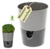 Kräutertopf mit Bewässerungssystem Kräutertopf Küche Produktbild-Vorschau 1