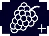 An icon of a bunch of grapes within a camera frame. Produktbild-Vorschau