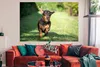 MuchoWow® Poster Ein sprintender Dackel 180x120 cm - Produktbild-Vorschau 2