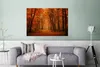 MuchoWow® Poster Herbst - Rot - Wald 120x80 cm - Bilder Produktbild-Vorschau 5