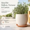 Podstawka pod doniczkę Mira terakota Ø 39cm - okrągła Podgląd zdjęcia produktu 2