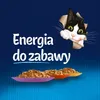 Felix Fantastic Adult Mięsne Smaki w Galaretce karma dla Podgląd zdjęcia produktu 13