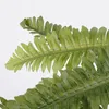 Mica Decorations Kunstliche Pflanze - Farn - grun - im Topf Produktbild-Vorschau 4