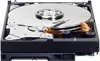 Disco rigido WD Blue 3. Anteprima dell’immagine prodotto 24