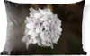 MuchoWow® Outdoor Kissen - Weiße Hortensie vor schwarzem Produktbild-Vorschau 1