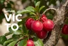 KONSIMO Kombiservice VICTO Geschirrset hergestellt in der Produktbild-Vorschau 18