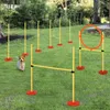 Agility-set voor honden | Kleur: Geel | Afmetingen: Productafbeelding-voorbeeld 2