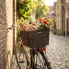 Basil Fahrradkorb Cento Rattan Look 20007 Kunststoff Produktbild-Vorschau 2