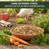 Leimüller Mangime per polli 25 kg Fitness Müsli - Mangime Anteprima dell’immagine prodotto 2