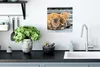 MuchoWow® Poster Katze - Schlaf - Sofa 30x30 cm - Produktbild-Vorschau 3