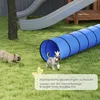 Tunel do agility dla psów PawHut 300 x 50 cm z 4 kotwami Podgląd zdjęcia produktu 7