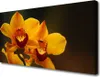 Tulup Leinwand-Bilder 100x50 Wandbild Canvas Kunstdruck Produktbild-Vorschau 1