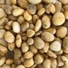 FLUSSKIESEL, Kieselsteine 20-60mm. 500g. BERNSTEIN Produktbild-Vorschau 1