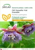 SAFLAX - Obří Granadilla / Král Granadilla - Passiflora Náhled obrázku produktu 1