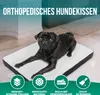 Avalo Orthopädisches Hundebett M - 76x51 cm - Waschbar / Produktbild-Vorschau 2