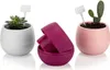 6 vasi rotondi per cactus color crema 10 cm con drenaggio, Anteprima dell’immagine prodotto 10