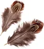 KNORR PRANDELL 216617982 Fasanenfedern 3 - 9 cm natur Produktbild-Vorschau 2